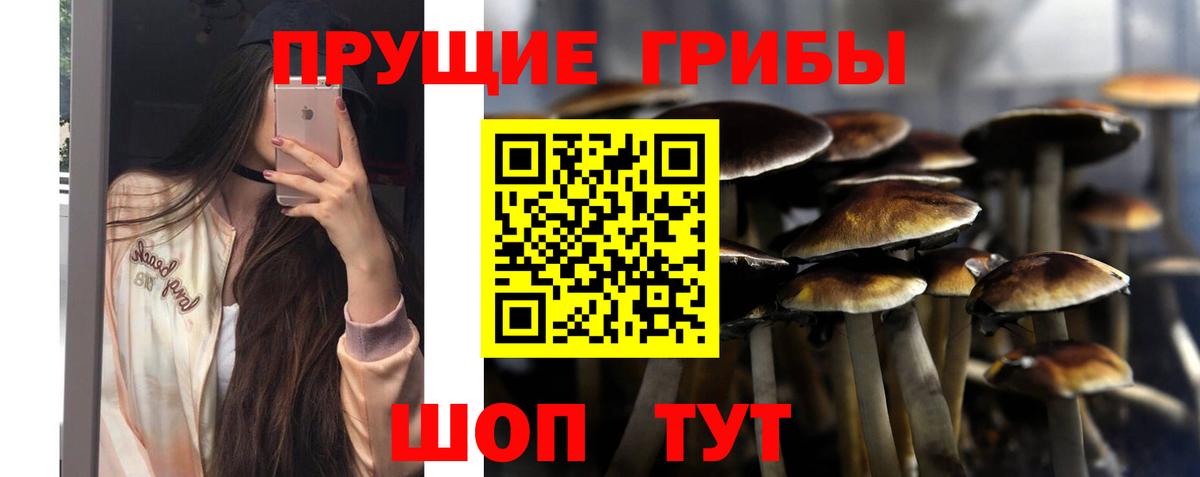 Галлюциногенные грибы мухоморы  Вход с VPN  Сунжа 